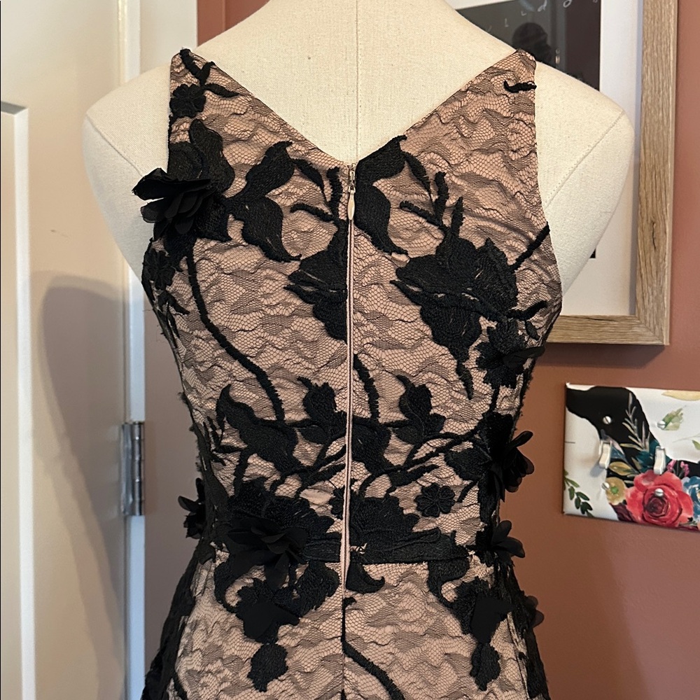 Dress the Population Sidney Black Floral Lace bodycon sheer lace XXS Maxi Dress - Picture 11 of 16